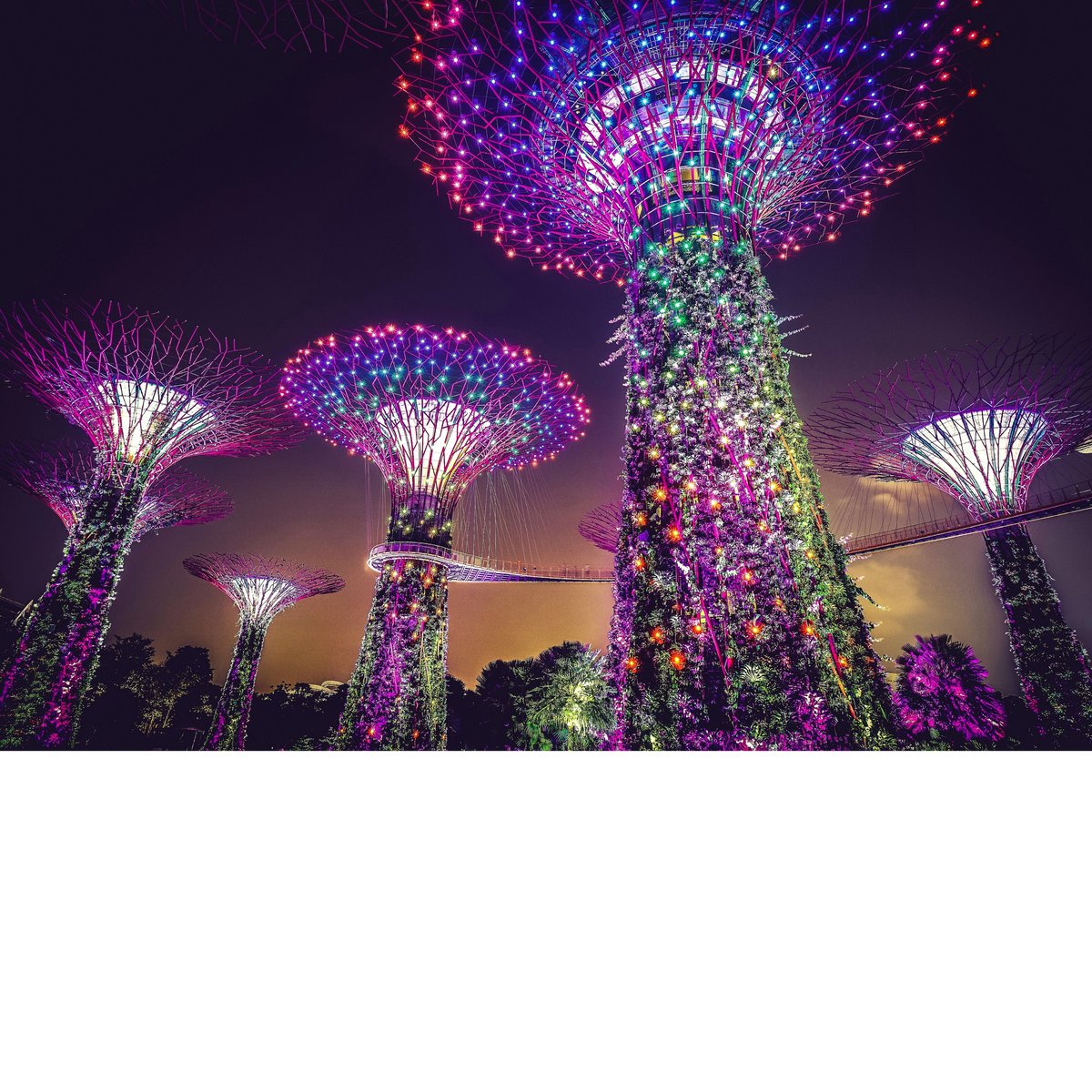 Up to 25% Off Hotels - Hotel Deal to Singapore